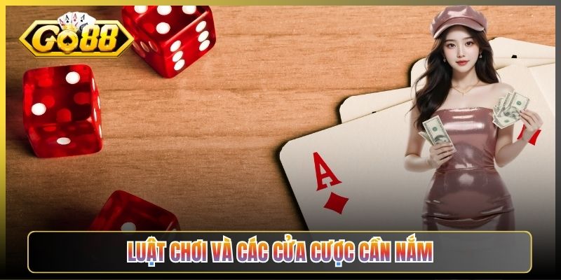 Luật Chơi Và Các Cửa Cược Cần Nắm