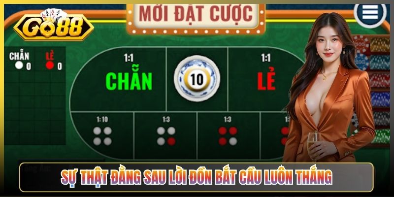 Sự Thật Đằng Sau Lời Đồn Bắt Cầu Luôn Thắng