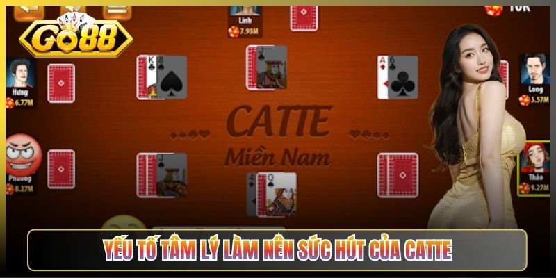 Yếu Tố Tâm Lý Làm Nên Sức Hút Của Catte